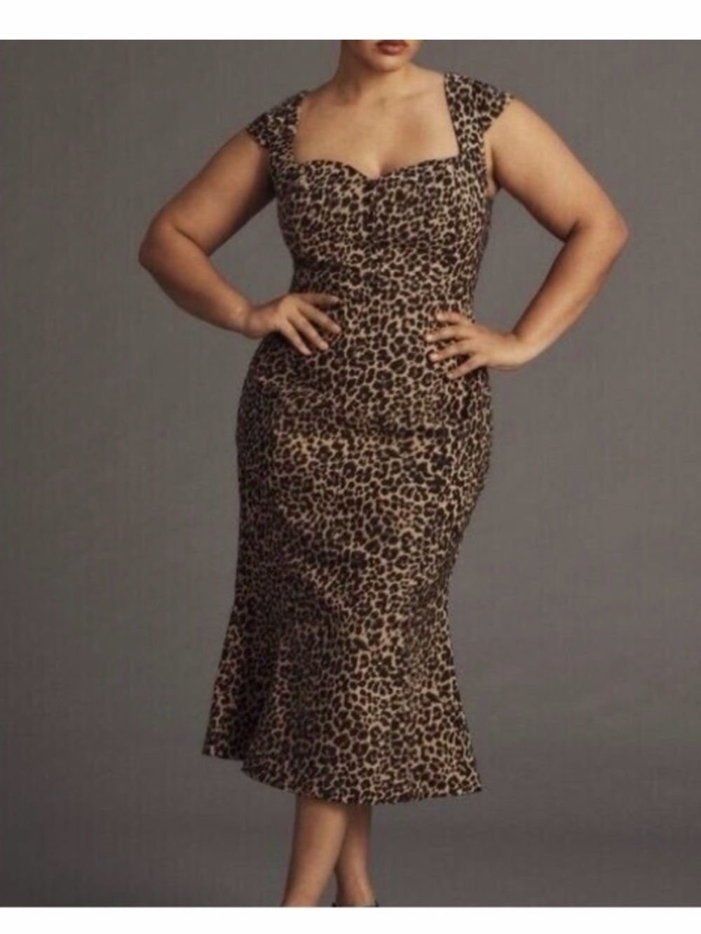 Anthropologie Leopard-Print Midi Dress in Brown and Black